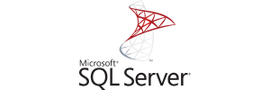 Microsoft SQL SQL Server